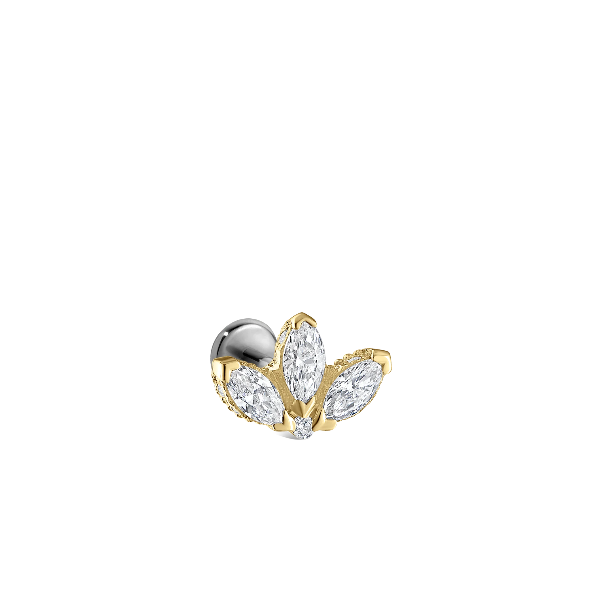 Product image 81